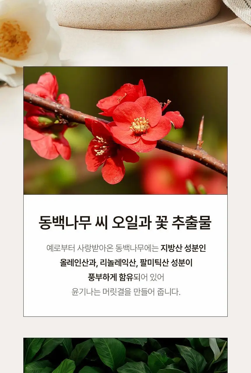 [신규런칭/산뜻한머릿결] 이드르르 코튼 헤어세럼 80ml 상세페이지 19